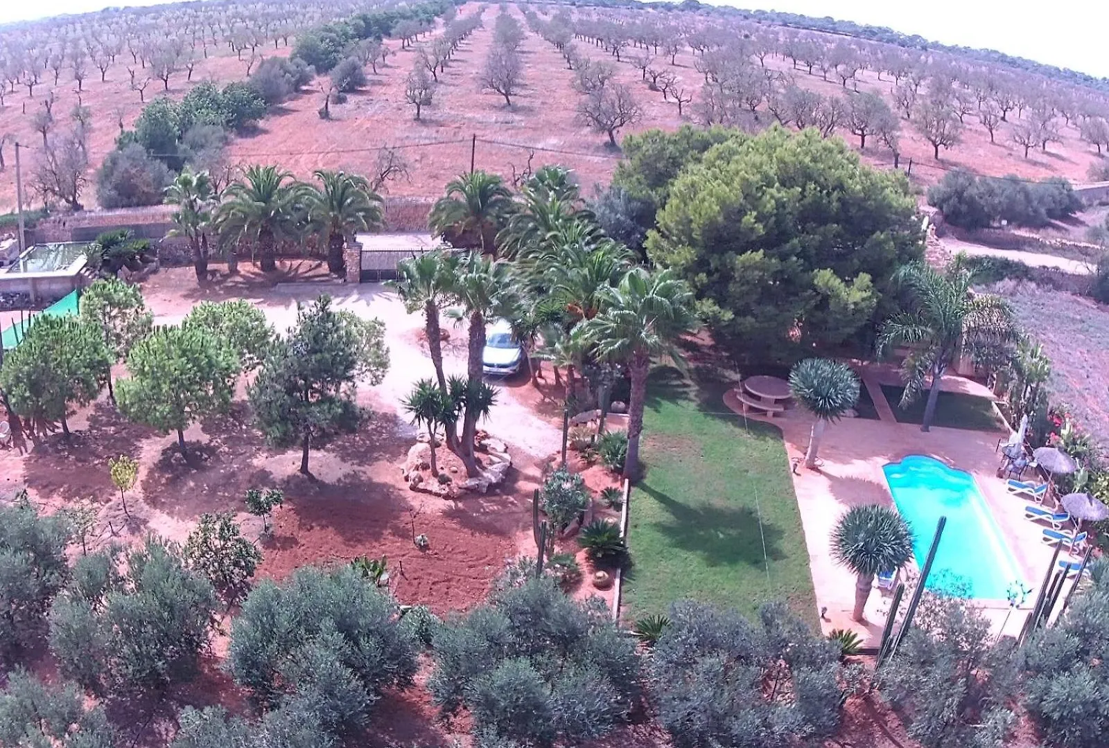Finca Los Olivos - Grupo Berna セス・サリネス スペイン